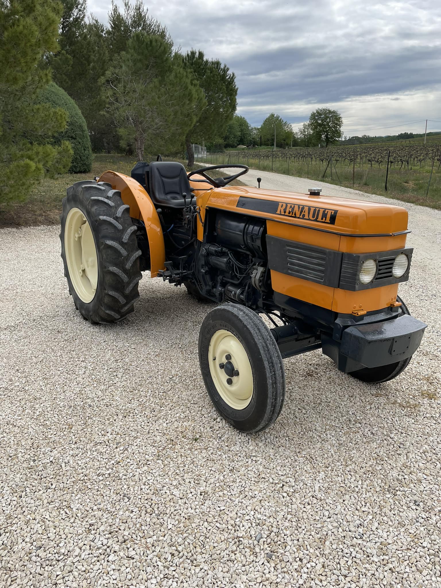 Nos Activités 485177031 1166230482179965 1611885738050930946 n